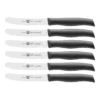 Zwilling Frühstücksmesserset 6-tlg
