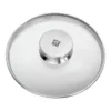 Zwilling Deckel 16 Cm, Glas